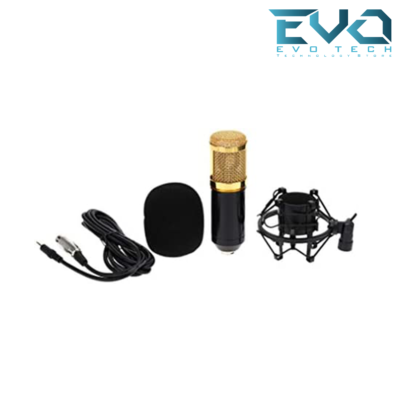 LAVA BM800 Gold Plated Condenser Microphone