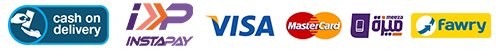 pay website footer | Evo Tech - ايفو تك